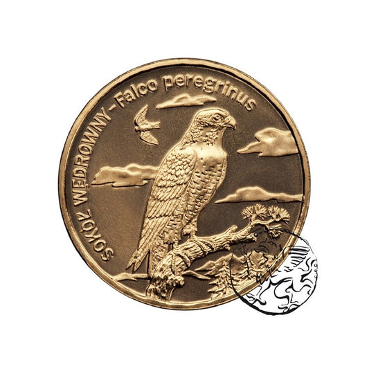 III RP, 2 złote, 2008, Sokół Wędrowny