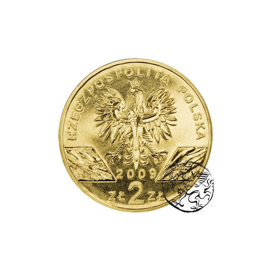 III RP, 2 złote, 2009, Jaszczurka zielona